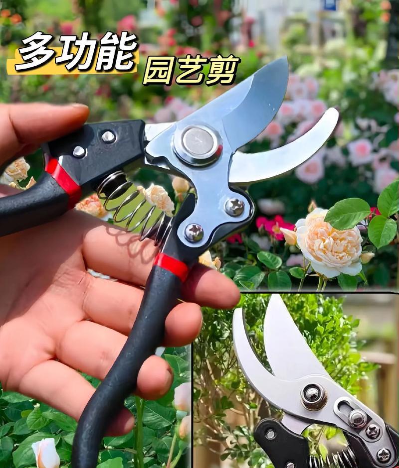 小编教你用4种常用园艺工具