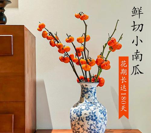园艺家庭农场_家庭园艺_园艺家庭农场概念是什么