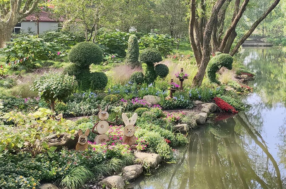 台风倒伏树木“生出”花卉变成园艺景观，上海“莫奈花园”又上新了