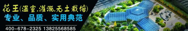 探寻日本现代园艺植物工厂考察行记（二）