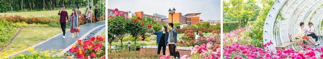 园艺景观_园艺景观技术员工作内容_园艺景观设计