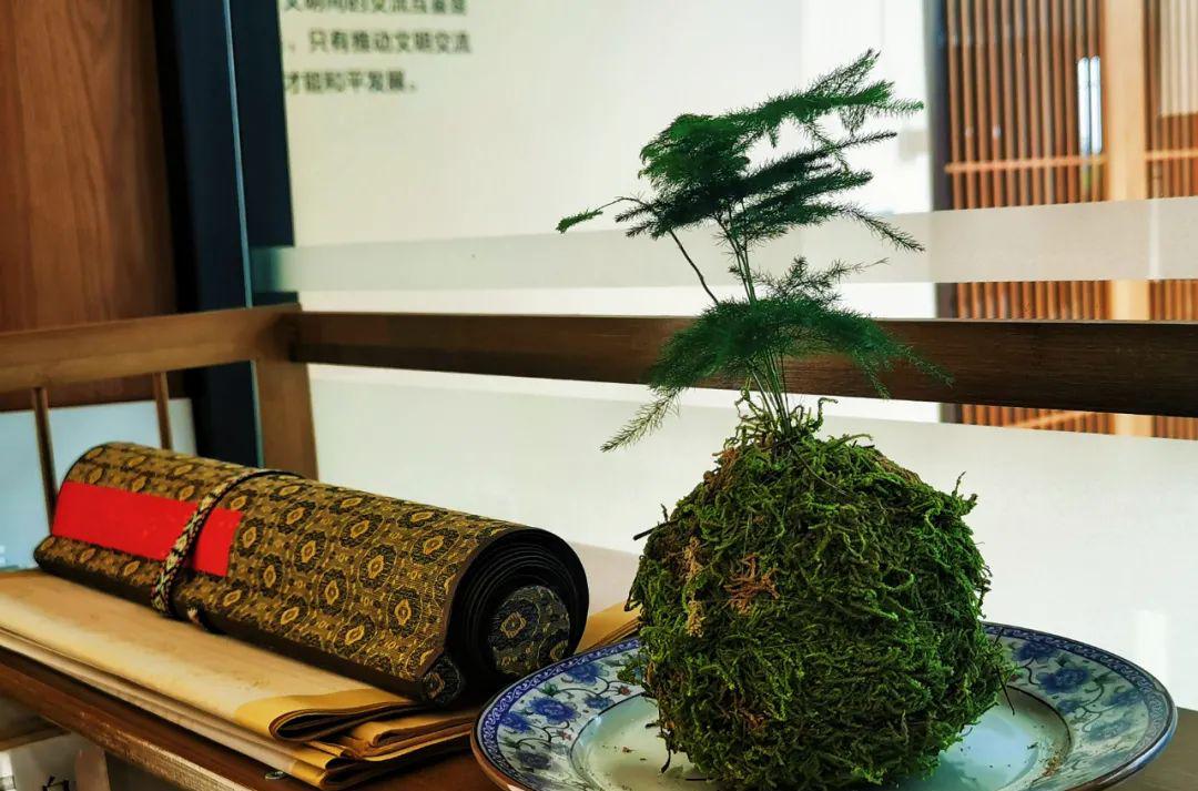 趣味园艺淘宝店_趣味园艺_趣味园艺梅pdf