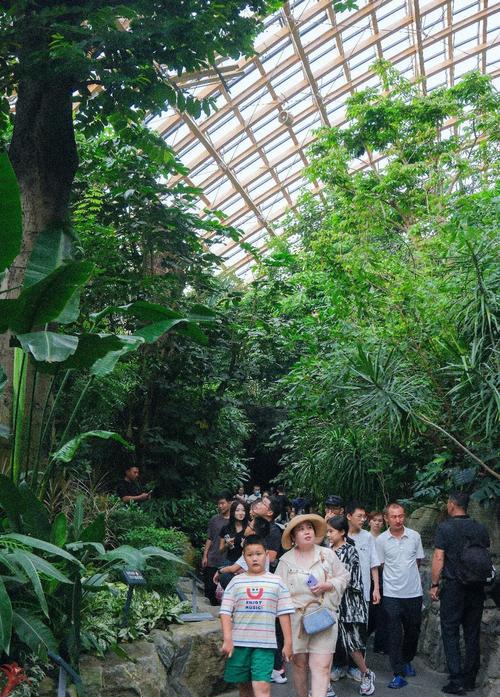 让孩子们在趣味园艺中感受植物魅力