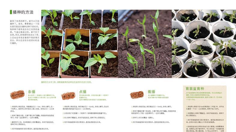 趣味园艺系列图书：爱上阳台蔬菜.种植技巧