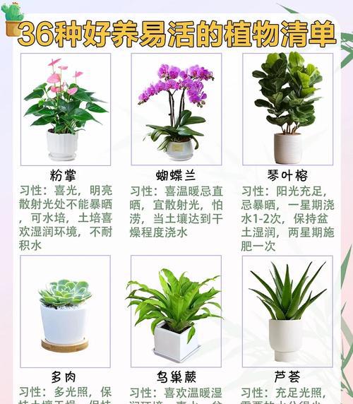 家庭园艺_园艺家庭农场概念是什么_园艺家庭农场