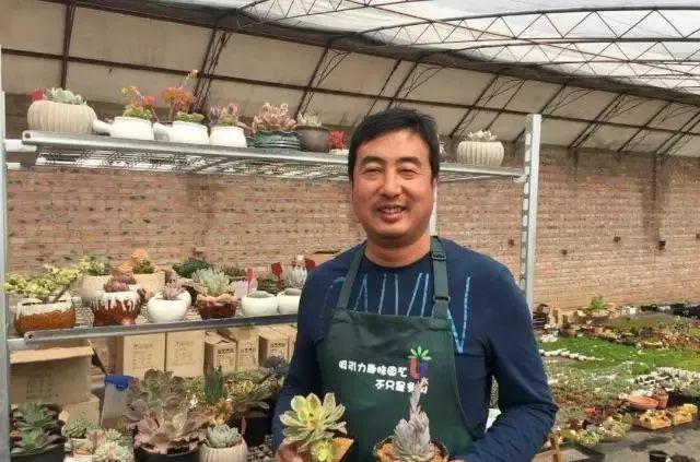 趣味园艺_趣味园艺梅pdf_趣味园艺淘宝店