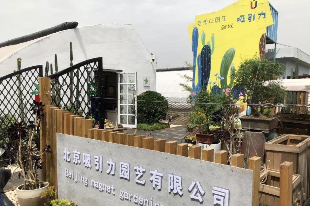 趣味园艺_趣味园艺梅pdf_趣味园艺淘宝店
