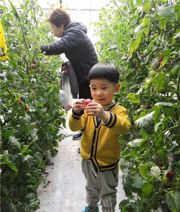 趣味园艺淘宝店_趣味园艺梅pdf_趣味园艺