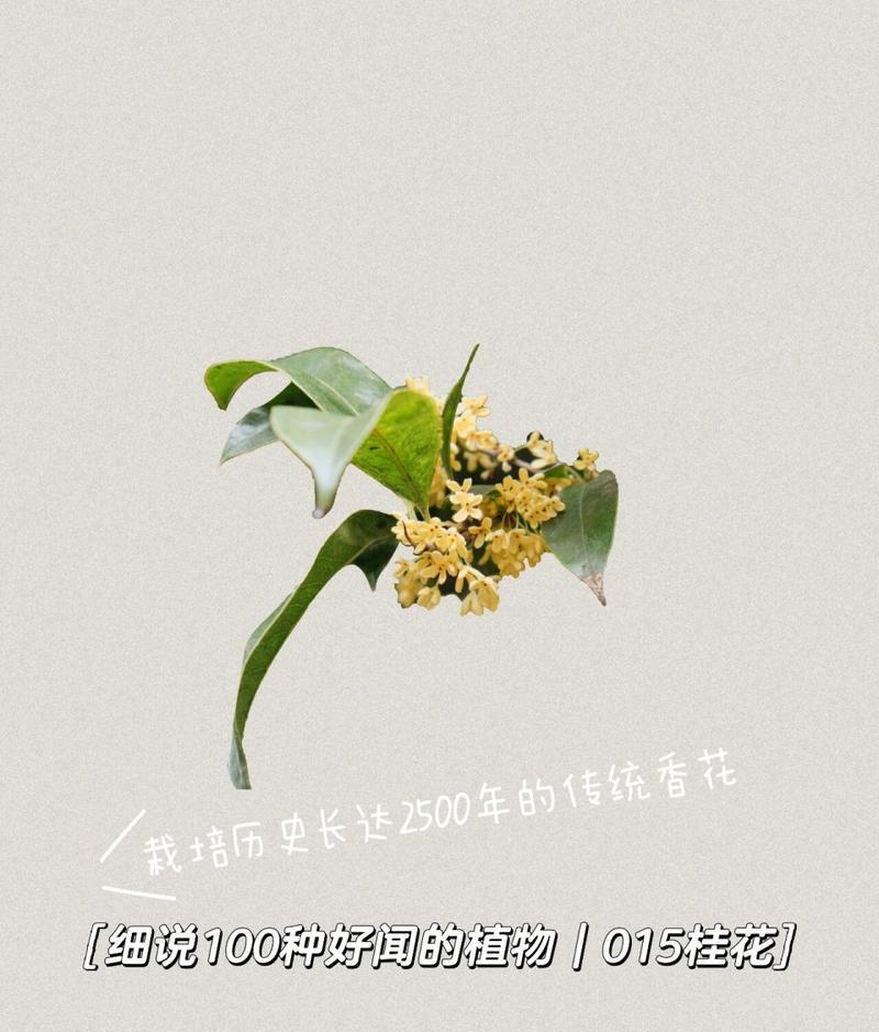 园艺学报是什么水平_园艺学报文章_园艺学报