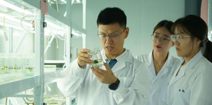 园艺学报格式要求_园艺学报质量怎么样_园艺学报