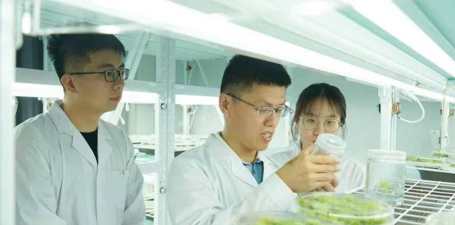 园艺学报质量怎么样_园艺学报格式要求_园艺学报