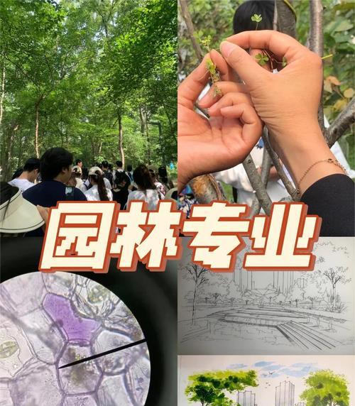 建筑业景观绿化与园艺设计培训