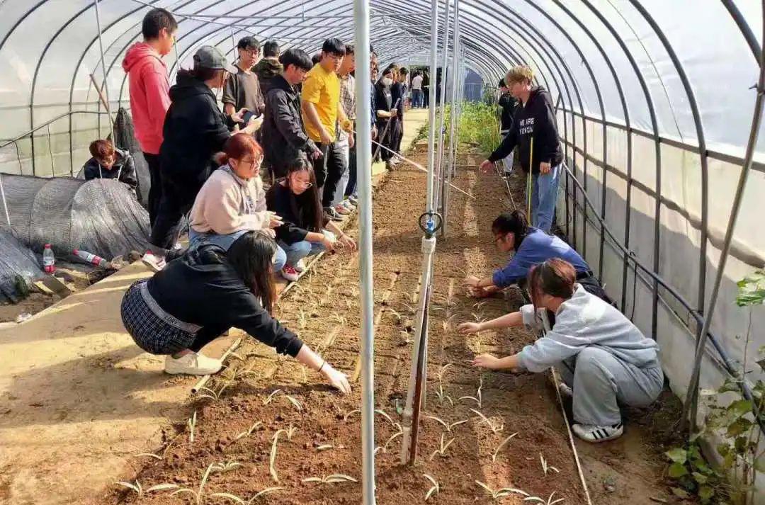 园艺技术属于什么大类_园艺技术毕业后从事什么职业_园艺技术