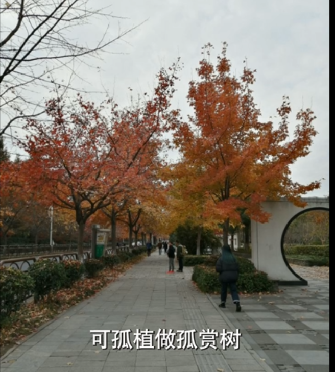 园艺技术属于什么大类_园艺技术_园艺技术毕业后从事什么职业