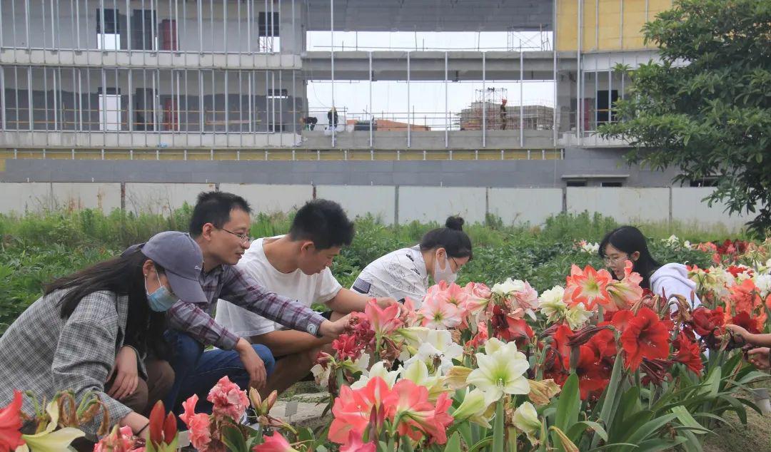 园艺技术属于什么大类_园艺技术_园艺技术毕业后从事什么职业