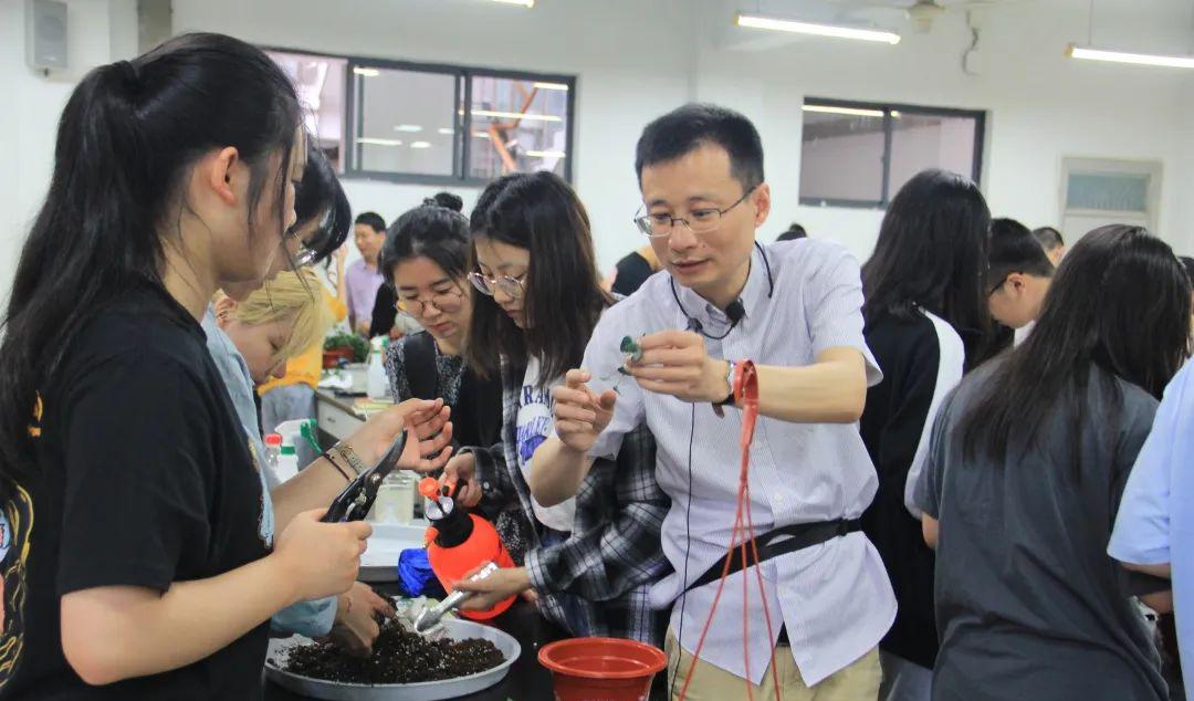 园艺技术属于什么大类_园艺技术毕业后从事什么职业_园艺技术
