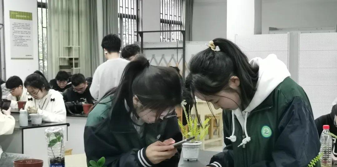园艺技术_园艺技术属于什么大类_园艺技术毕业后从事什么职业