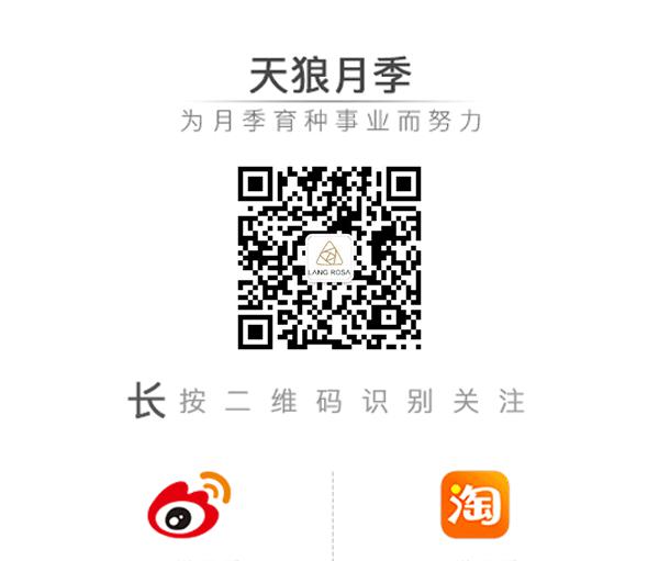 园艺工具品牌_园艺工具有哪些_园艺工具