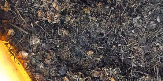 园艺家庭的出身背景_家庭园艺_园艺家庭农场概念是什么