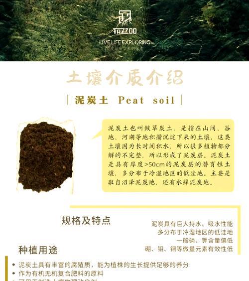 家庭园艺_园艺家庭农场概念是什么_园艺家庭的出身背景