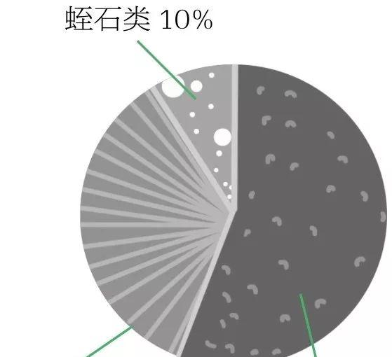 园艺家庭农场概念是什么_园艺家庭的出身背景_家庭园艺