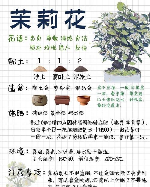 园艺家庭的出身背景_园艺家庭农场概念是什么_家庭园艺