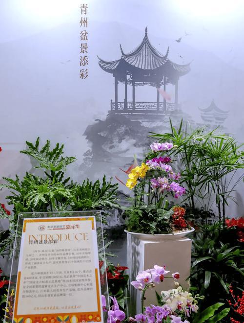 家庭园艺_园艺家庭的出身背景_园艺家庭农场概念是什么