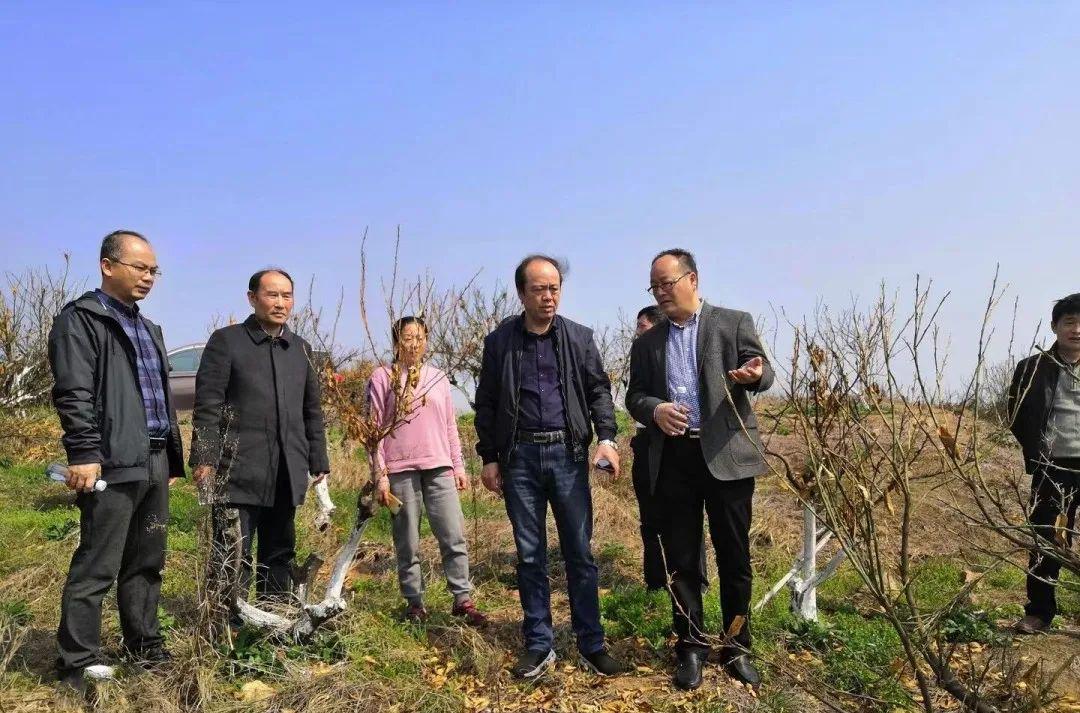 园艺学报质量怎么样_园艺学报_园艺学报是什么水平