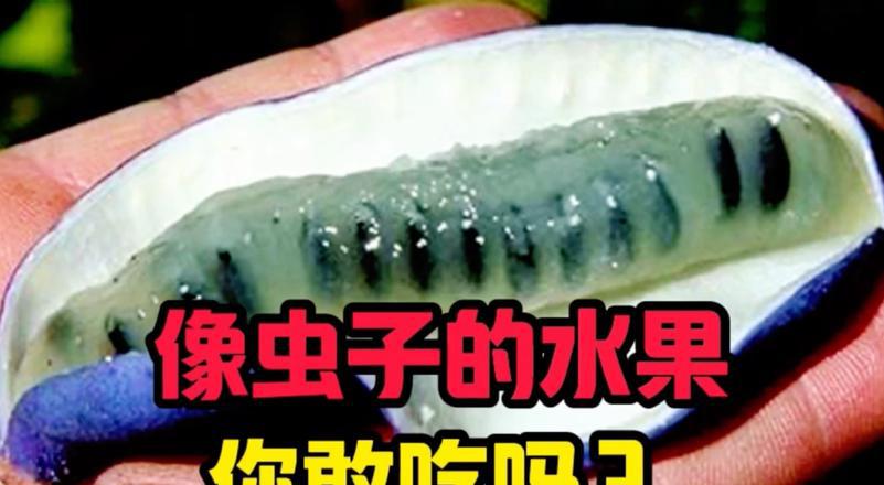 园艺学报文章_园艺学报_园艺学报质量怎么样