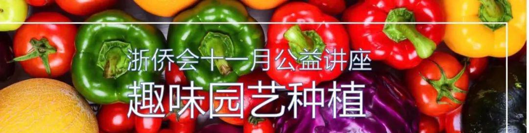 趣味园艺种植讲座赢得满堂彩