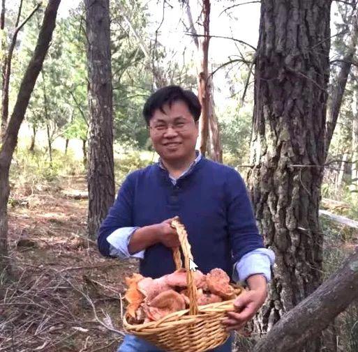 趣味园艺淘宝店_趣味园艺_趣味园艺是什么