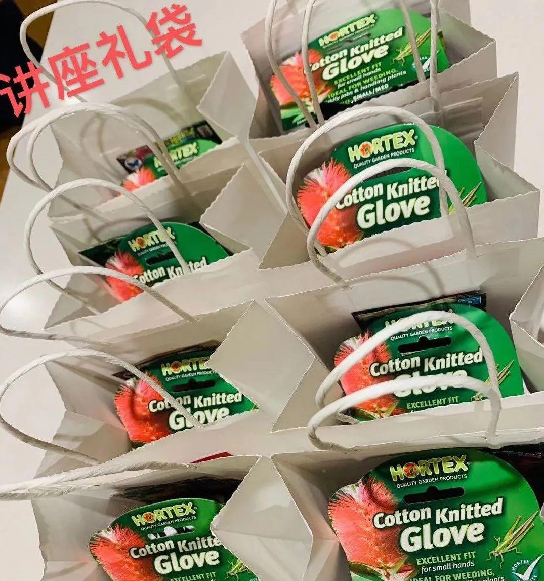 趣味园艺是什么_趣味园艺_趣味园艺淘宝店