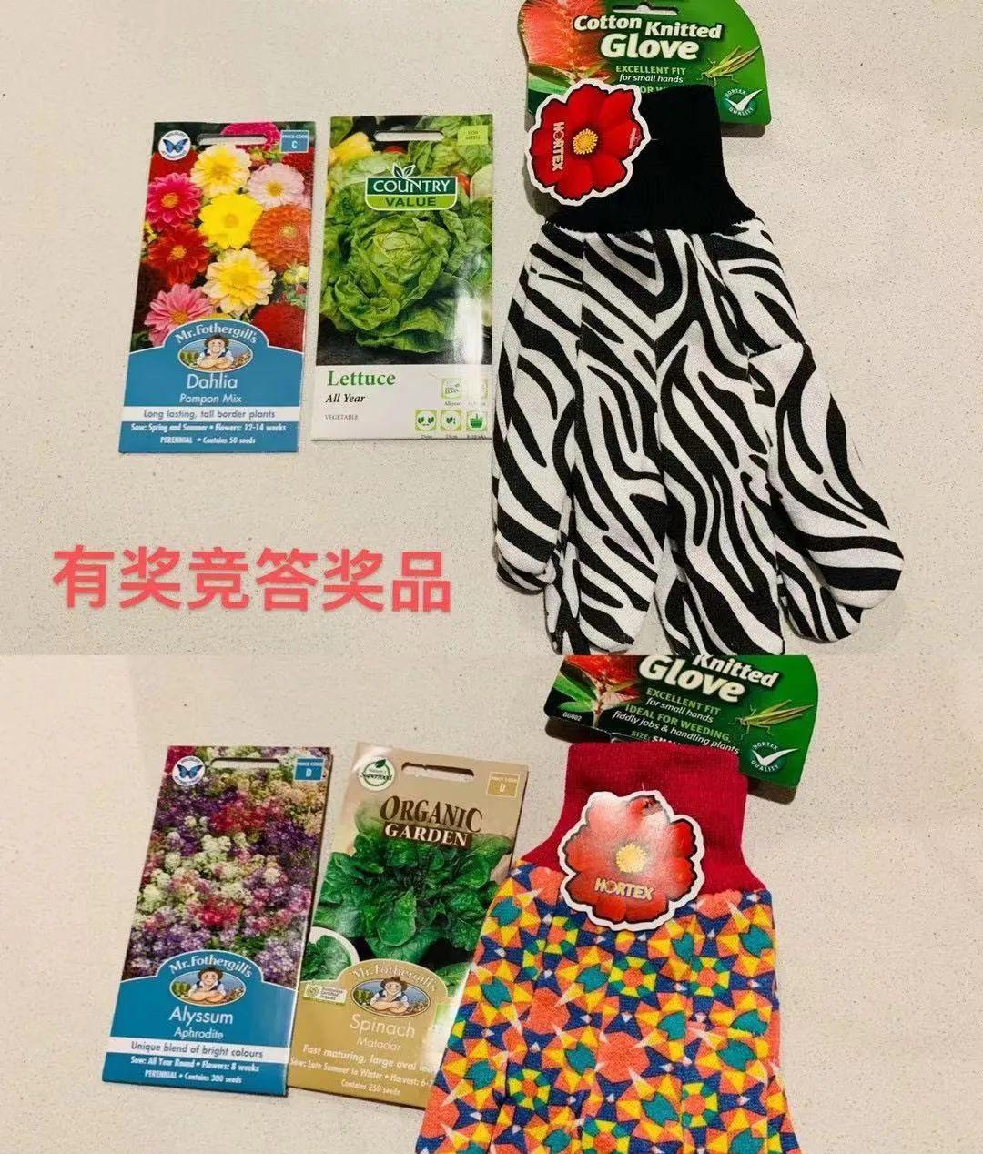 趣味园艺是什么_趣味园艺淘宝店_趣味园艺