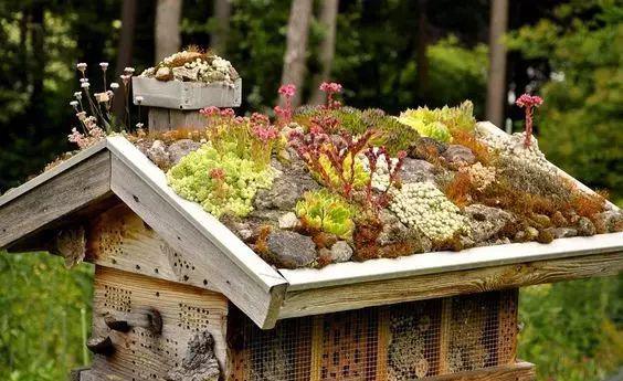 趣味园艺 | 蜂窝？垃圾堆？不不，是Insect Hotel