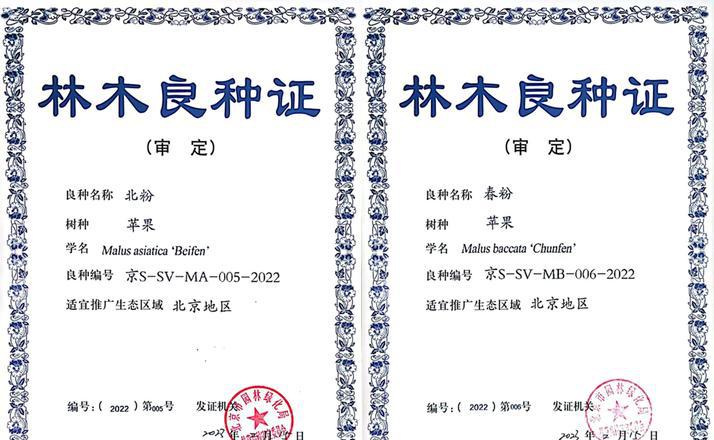 现代园艺_园艺现代育苗技术_园艺现代化设施观光园区设计图