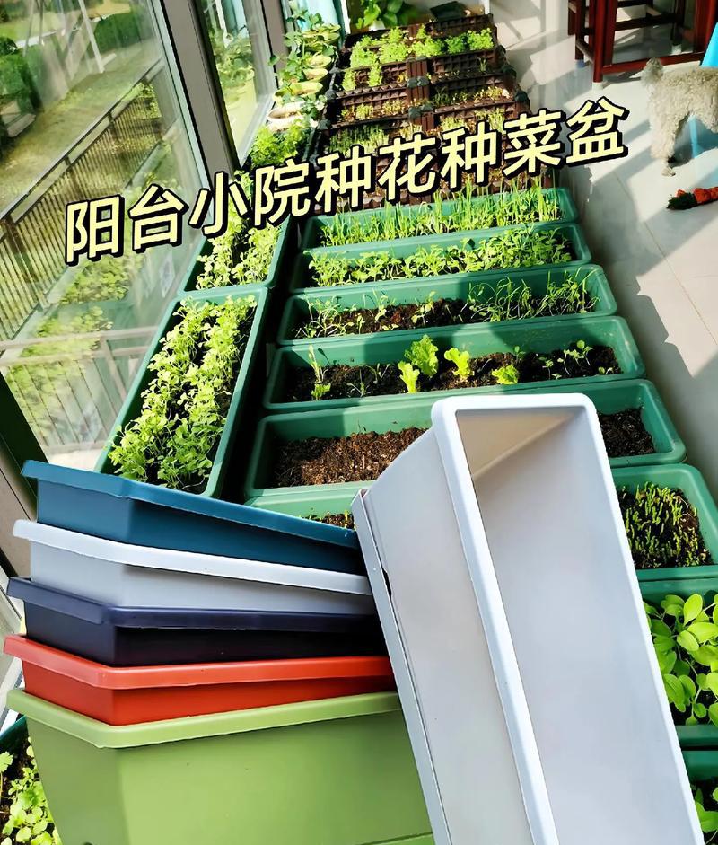 园艺家庭的出身背景_家庭园艺_园艺家庭农场概念是什么