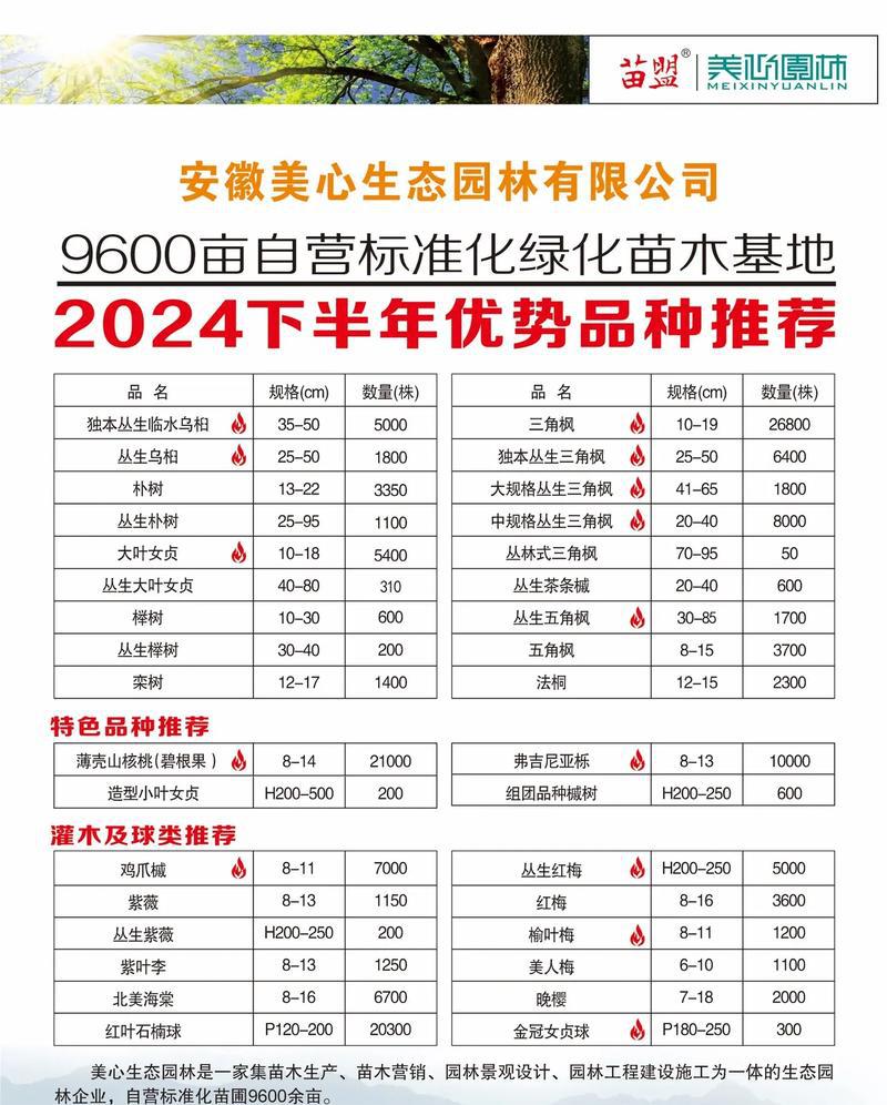 家庭园艺_园艺家庭的出身背景_家庭园艺类型