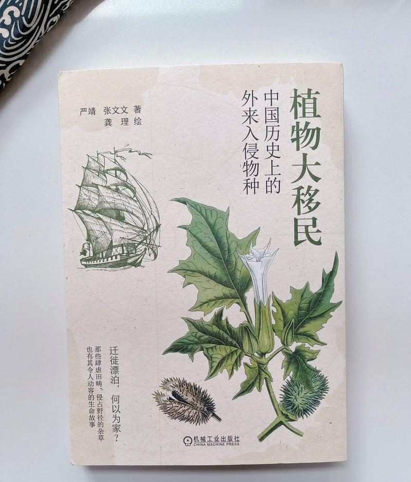 家庭园艺类型_家庭园艺_园艺家庭农场