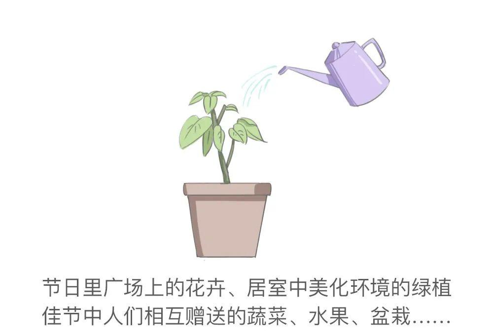 园艺专业：园丁的艺术