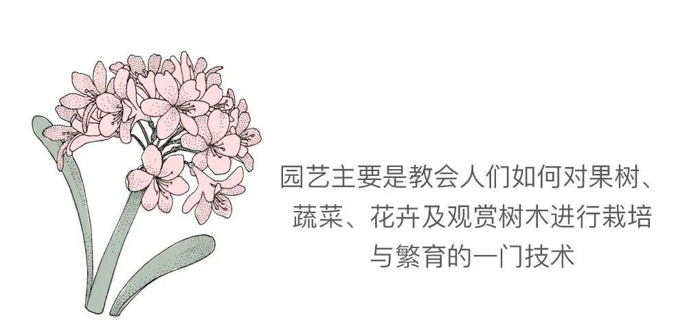 园艺专业_园艺专业考公务员有哪些职位_园艺专业代码