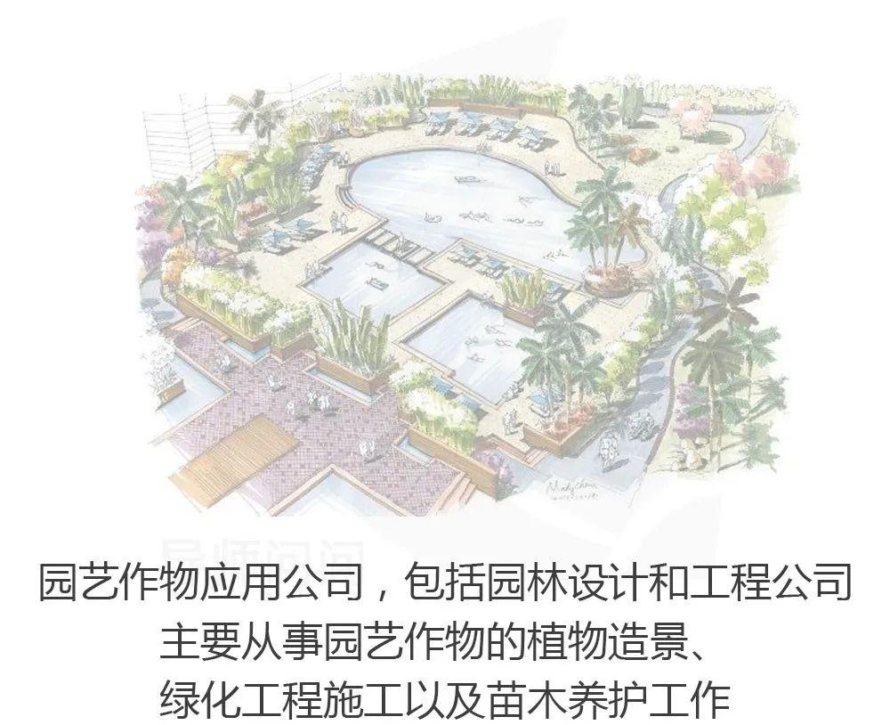 园艺专业考公务员有哪些职位_园艺专业_园艺专业代码