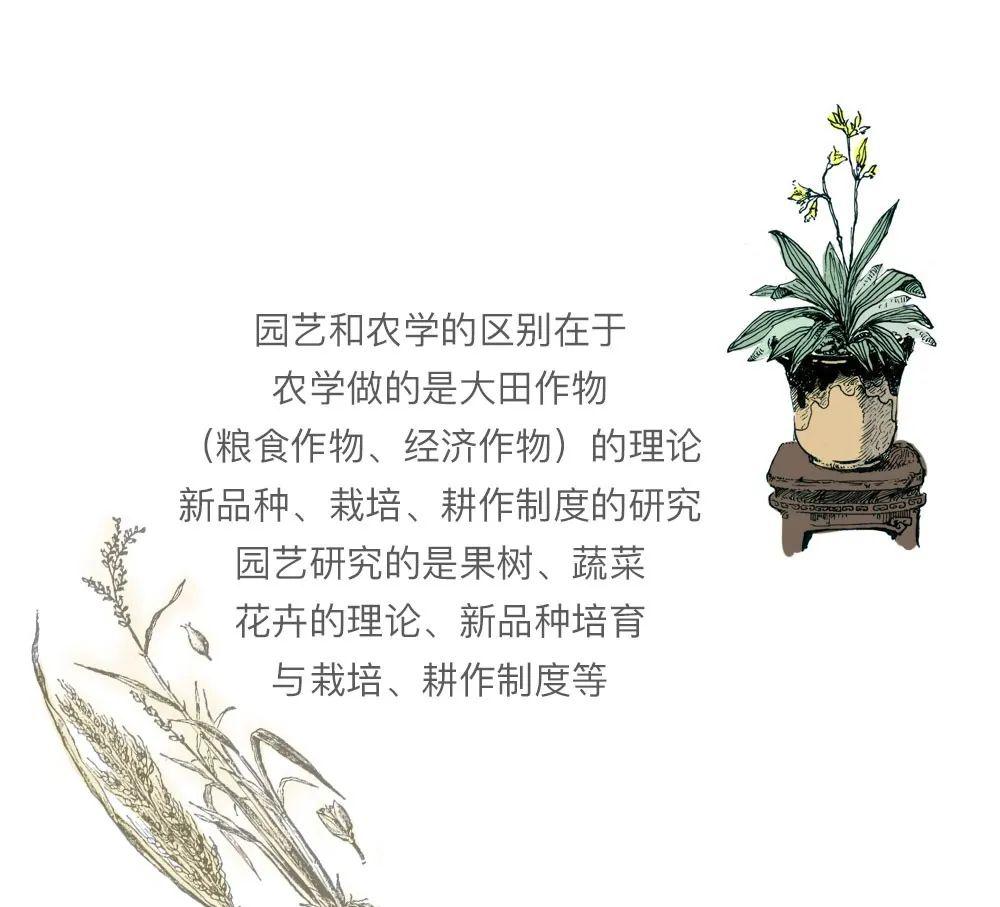 园艺专业考公务员有哪些职位_园艺专业代码_园艺专业