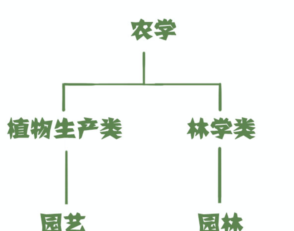 园艺专业_园艺专业考公务员有哪些职位_园艺专业代码