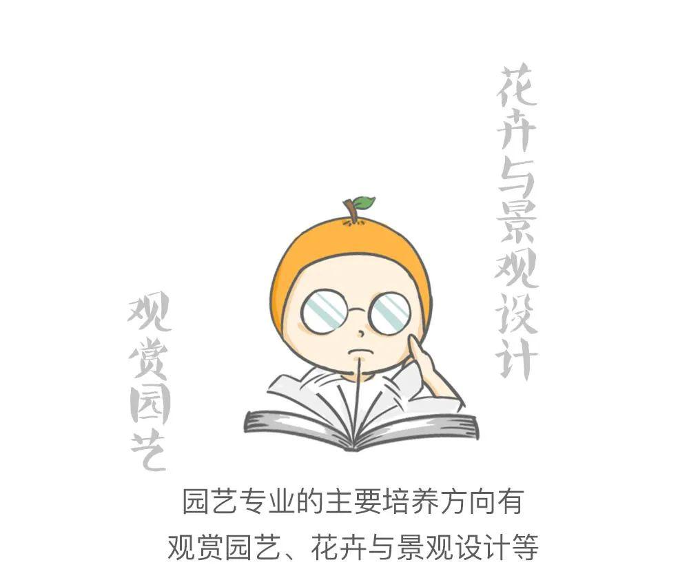 园艺专业代码_园艺专业考公务员有哪些职位_园艺专业