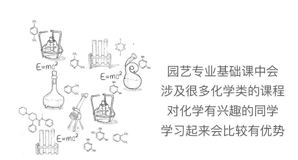 园艺专业代码_园艺专业考公务员有哪些职位_园艺专业