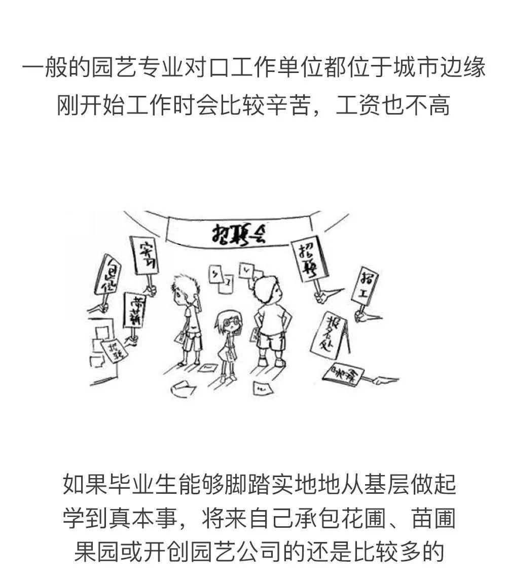 园艺专业考公务员有哪些职位_园艺专业_园艺专业代码