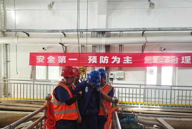 上海园艺公司_园艺公司经营范围_园艺公司