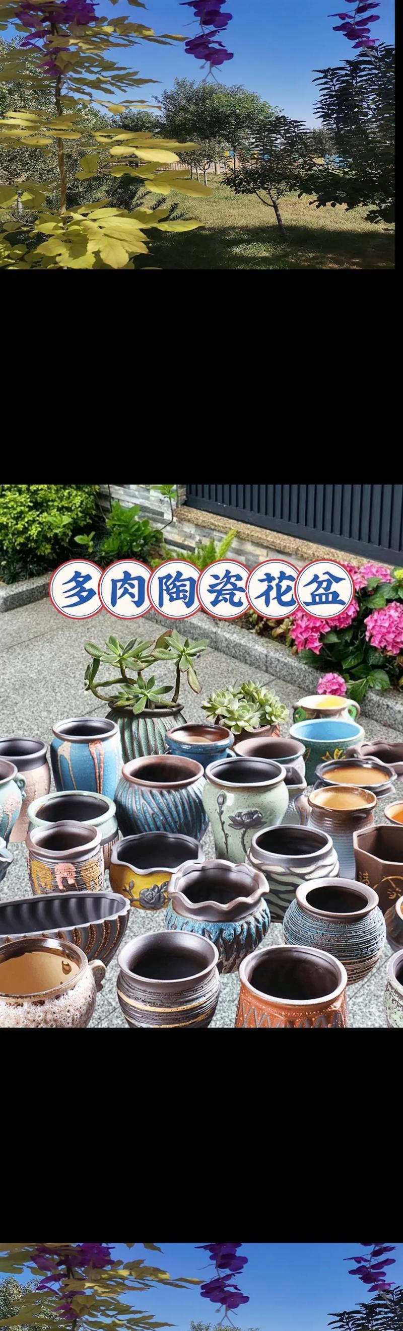 家庭园艺类型_园艺家庭农场_家庭园艺