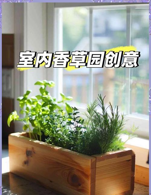 打造你的绿意小天地，享受家庭园艺