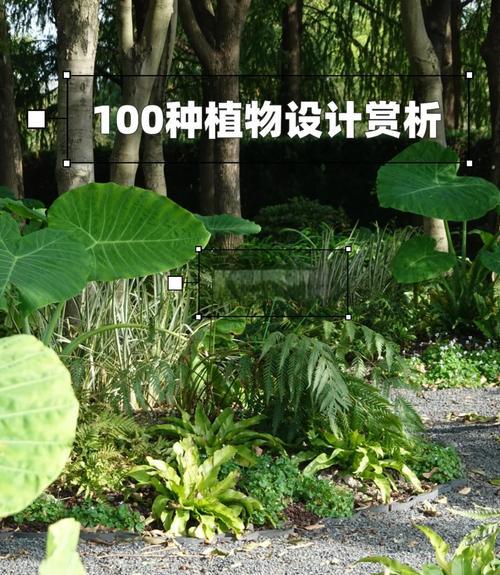 园艺设计_园艺设计就业前景如何_园艺设计图片欣赏